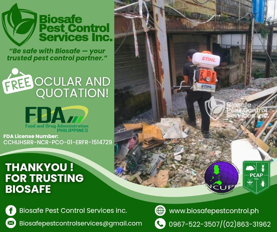 573931703 122154924908852646 4010790923825055872 N