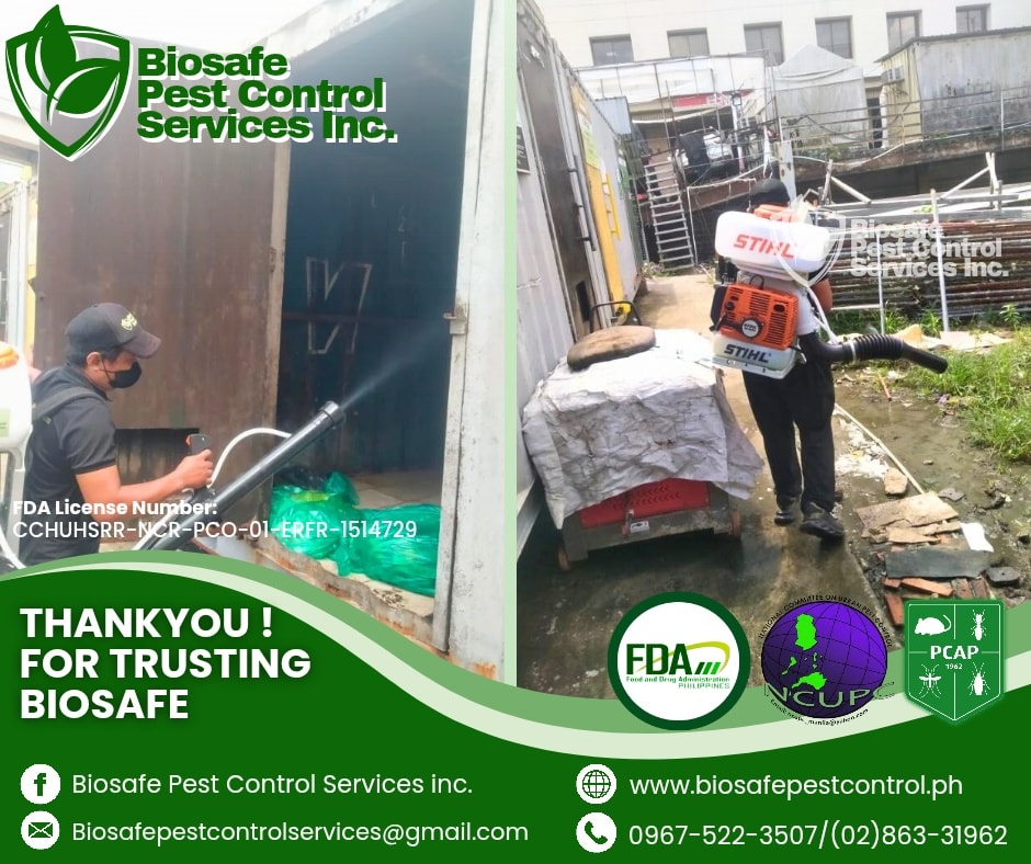 576214351 122154925022852646 3861643221137077166 N