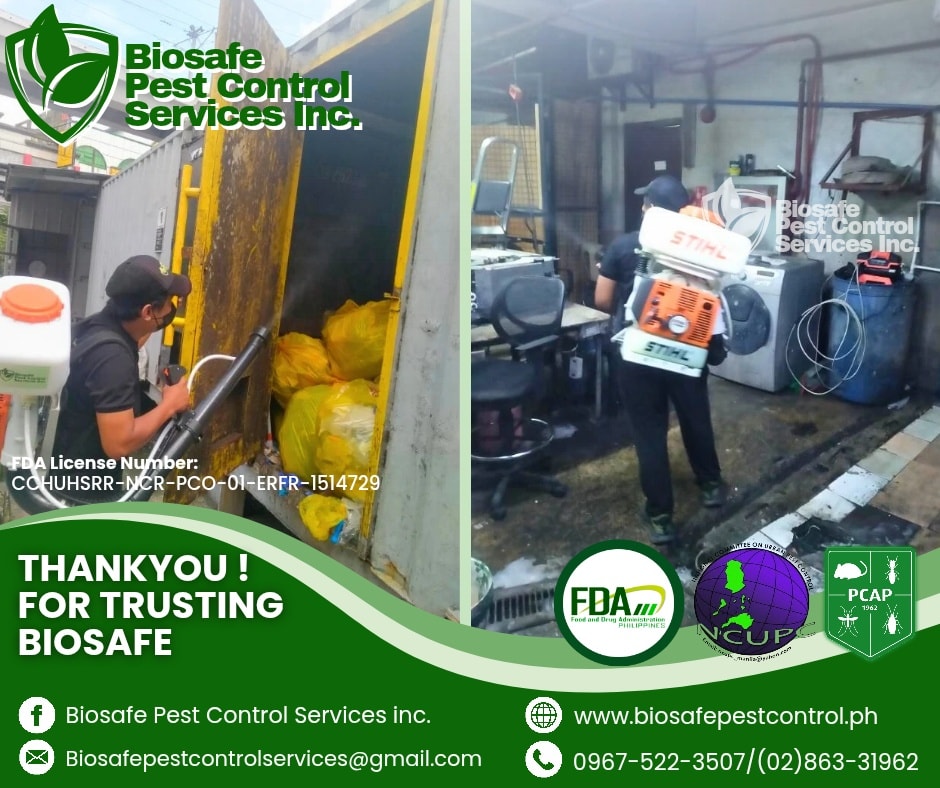 576329420 122154925058852646 1999692762569074193 N